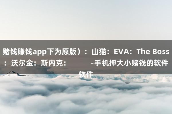 赌钱赚钱app下为原版）：山猫：EVA：The Boss：沃尔金：斯内克：          -手机押大小赌钱的软件