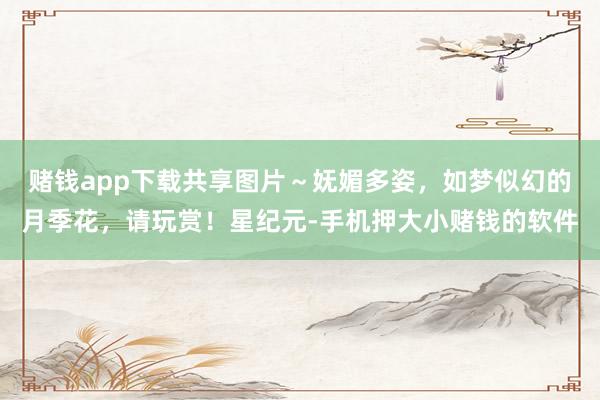 赌钱app下载共享图片～妩媚多姿，如梦似幻的月季花，请玩赏！星纪元-手机押大小赌钱的软件