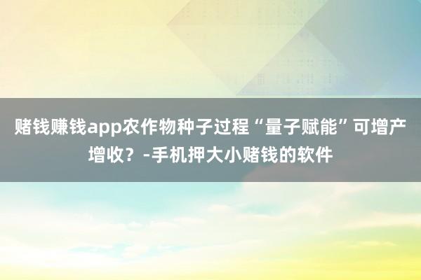 赌钱赚钱app农作物种子过程“量子赋能”可增产增收？-手机押大小赌钱的软件