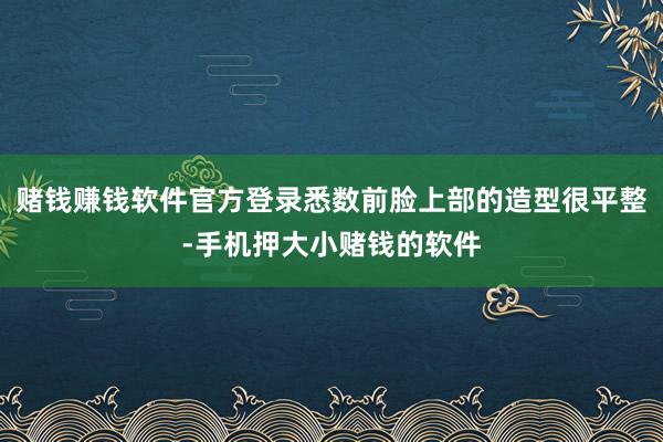 赌钱赚钱软件官方登录悉数前脸上部的造型很平整-手机押大小赌钱的软件