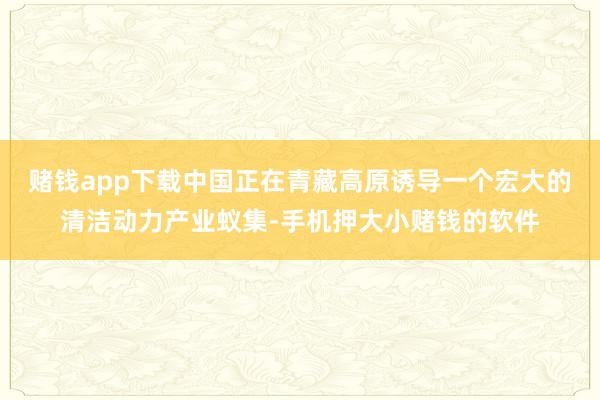 赌钱app下载中国正在青藏高原诱导一个宏大的清洁动力产业蚁集-手机押大小赌钱的软件