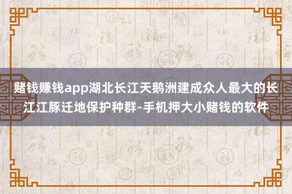 赌钱赚钱app湖北长江天鹅洲建成众人最大的长江江豚迁地保护种群-手机押大小赌钱的软件