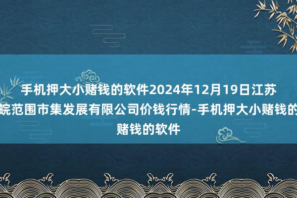 手机押大小赌钱的软件2024年12月19日江苏苏浙皖范围市集发展有限公司价钱行情-手机押大小赌钱的软件