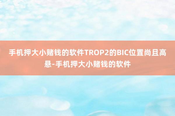 手机押大小赌钱的软件TROP2的BIC位置尚且高悬-手机押大小赌钱的软件