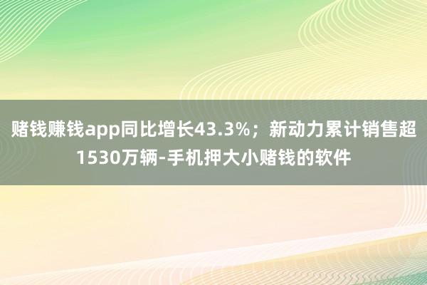 赌钱赚钱app同比增长43.3%；新动力累计销售超1530万辆-手机押大小赌钱的软件