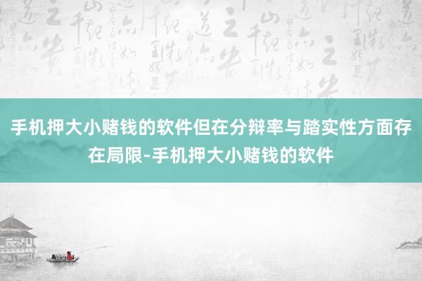 手机押大小赌钱的软件但在分辩率与踏实性方面存在局限-手机押大小赌钱的软件
