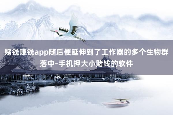 赌钱赚钱app随后便延伸到了工作器的多个生物群落中-手机押大小赌钱的软件