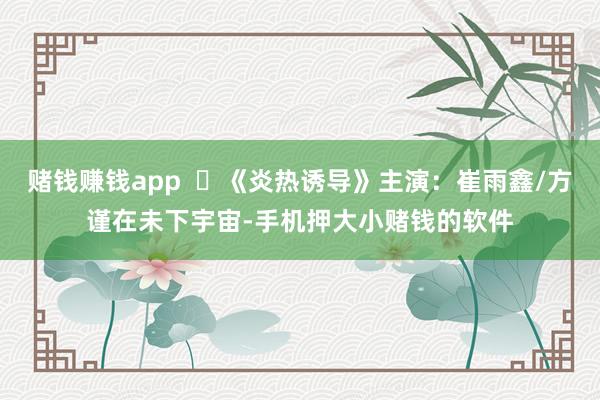 赌钱赚钱app ➤《炎热诱导》主演:崔雨鑫/方谨在未下宇宙-手机押大小赌钱的软件