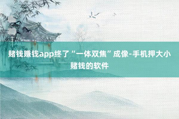 赌钱赚钱app终了“一体双焦”成像-手机押大小赌钱的软件