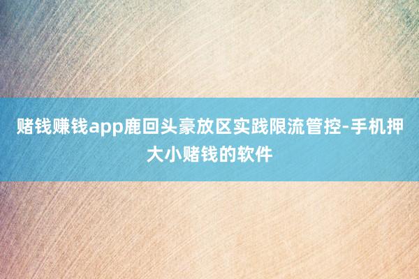 赌钱赚钱app鹿回头豪放区实践限流管控-手机押大小赌钱的软件