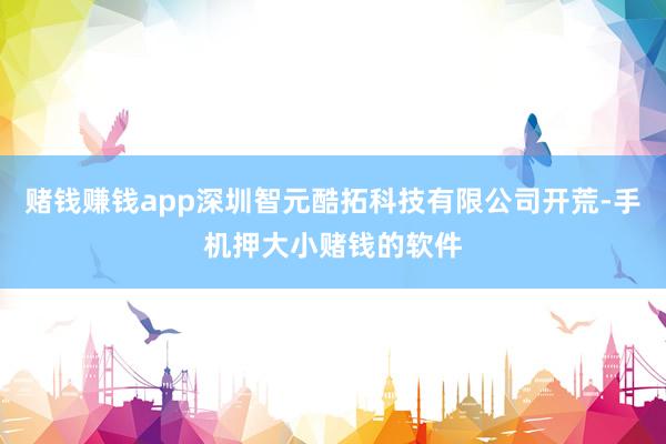 赌钱赚钱app深圳智元酷拓科技有限公司开荒-手机押大小赌钱的软件