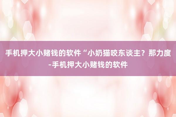 手机押大小赌钱的软件“小奶猫咬东谈主？那力度-手机押大小赌钱的软件