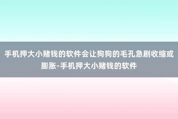 手机押大小赌钱的软件会让狗狗的毛孔急剧收缩或膨胀-手机押大小赌钱的软件
