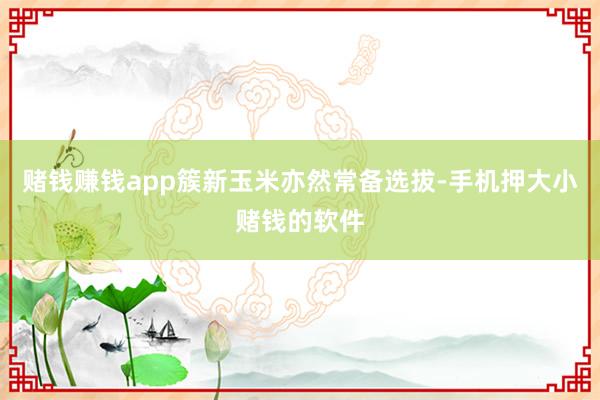 赌钱赚钱app簇新玉米亦然常备选拔-手机押大小赌钱的软件