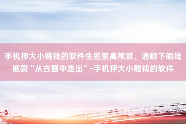 手机押大小赌钱的软件生图里高颅顶、通顺下颌线被赞“从古画中走出”-手机押大小赌钱的软件