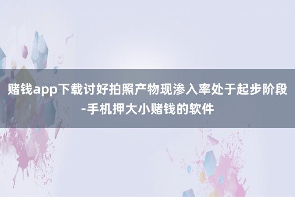 赌钱app下载讨好拍照产物现渗入率处于起步阶段-手机押大小赌钱的软件