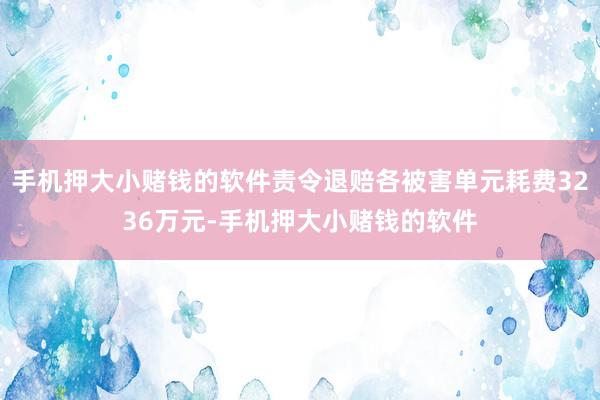 手机押大小赌钱的软件责令退赔各被害单元耗费3236万元-手机押大小赌钱的软件