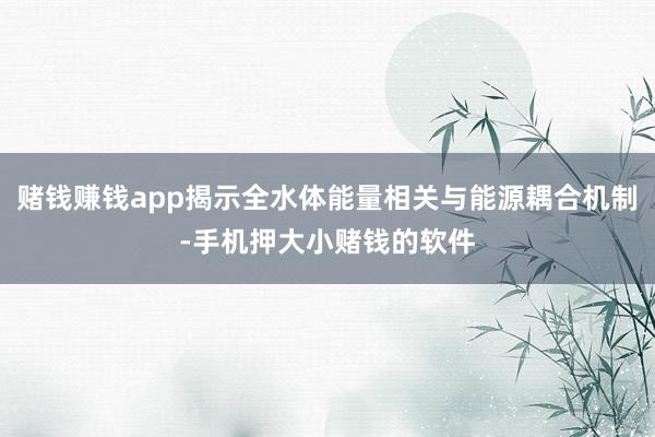 赌钱赚钱app揭示全水体能量相关与能源耦合机制-手机押大小赌钱的软件
