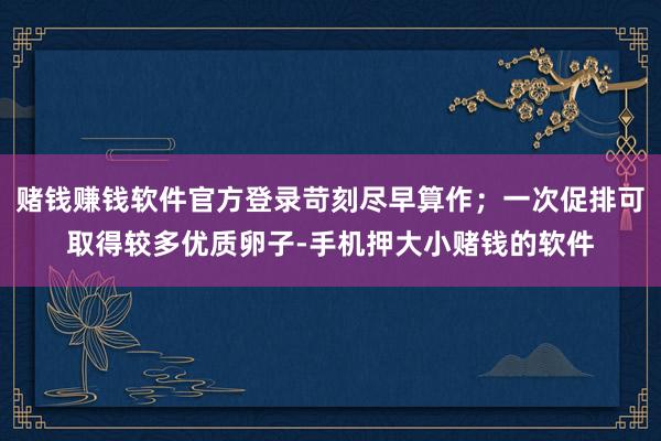 赌钱赚钱软件官方登录苛刻尽早算作；一次促排可取得较多优质卵子-手机押大小赌钱的软件