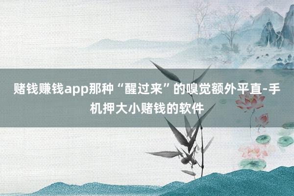 赌钱赚钱app那种“醒过来”的嗅觉额外平直-手机押大小赌钱的软件