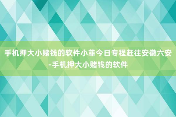 手机押大小赌钱的软件小菲今日专程赶往安徽六安-手机押大小赌钱的软件