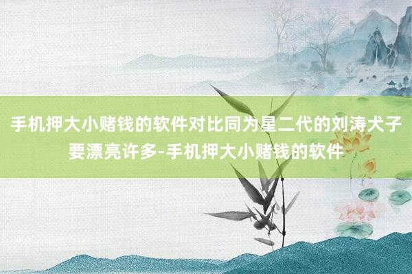 手机押大小赌钱的软件对比同为星二代的刘涛犬子要漂亮许多-手机押大小赌钱的软件