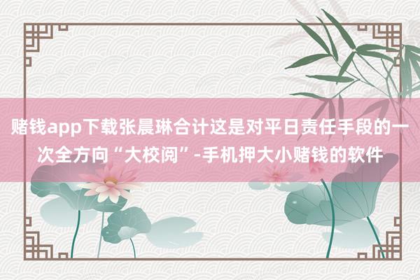 赌钱app下载张晨琳合计这是对平日责任手段的一次全方向“大校阅”-手机押大小赌钱的软件