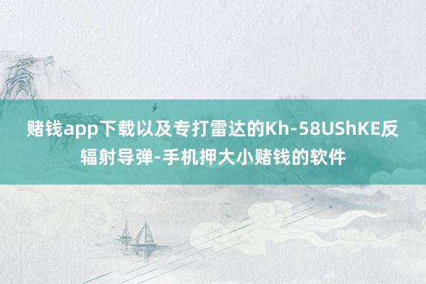 赌钱app下载以及专打雷达的Kh-58UShKE反辐射导弹-手机押大小赌钱的软件