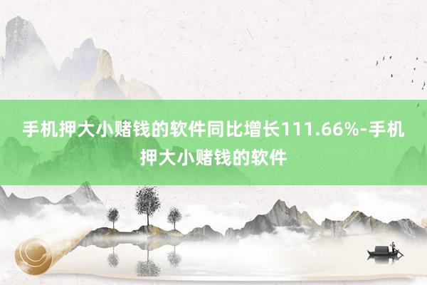 手机押大小赌钱的软件同比增长111.66%-手机押大小赌钱的软件