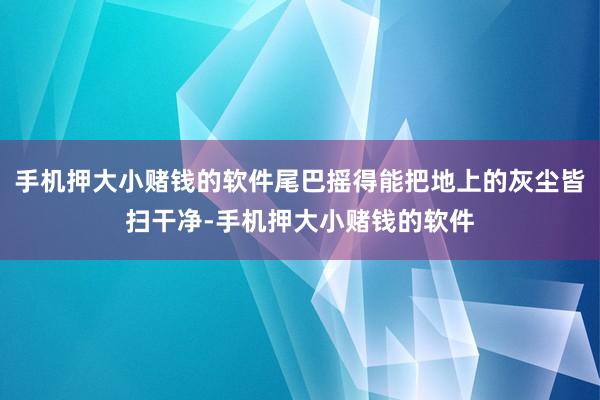 手机押大小赌钱的软件尾巴摇得能把地上的灰尘皆扫干净-手机押大小赌钱的软件